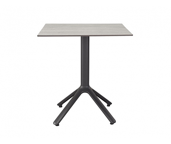 Nemo fixed table base